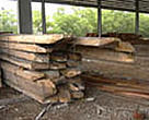 Ramin timber smuggled from Indonesia, following a seizure by customs in Port Kelang, Peninsular Malaysia, 2003.