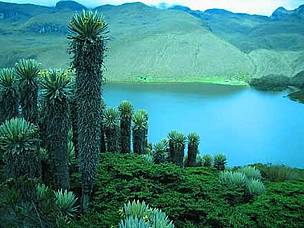Laguna del Otún in Colombia 
