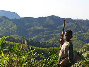 Boy standing in front of Parc National de Ranomafana (Rano = water, Mafana = warm) / ©: WWF / Marjolein Kamermans / ©: WWF / Marjolein Kamermans