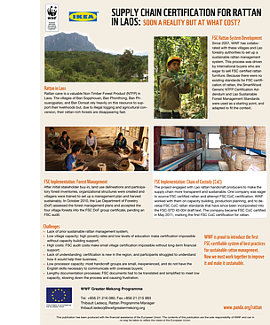 Supply Chain Certification for Rattan
in Laos: Soon a Reality but at What Cost?