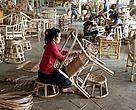 A worker uses rattan in Laos. Rattan is widely used for food, furniture and other products and traded extensively across the region, in the European Union and worldwide markets. 