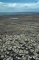Drought is one consequence of global warmi / ©: WWF-Canon / Rautkari / ©: WWF-Canon / Rautkari