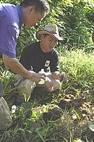 Raymond Alfred collecting elephant dung. / &copy;: WWF-Canon / Jan Vertefeuille