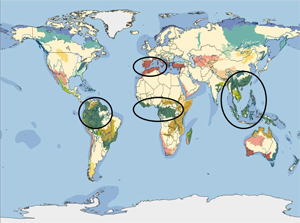 Mapa de Áreas Prioritárias para a Rede Ibérica do GFTN / &copy;: WWF - Mediterrâneo