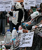 WWF Supporters demonstrate in Strasbourg in favour of a strong new chemical law (REACH) / &copy;: WWF