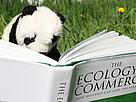 Panda reading. / &copy;: WWF