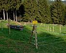 Bear-proof fencing for beehives. Italy