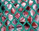 There was a strong call at CBD to highlight the threats to vulnerable high seas and deep sea ecosystems, including the particular threat of deep-sea trawling.