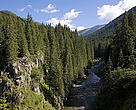 River through fir forest, Retezat National Park, Carpathian Mountains, South-West Romania