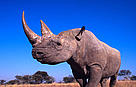 / &copy;: WWF-Canon / Martin Harvey