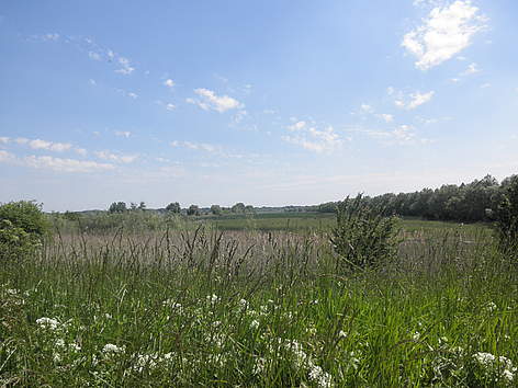 Ribnjak Podunavlje / ©: Petra Boic Petrac / WWF - Canon / ©: Petra Boic Petrac / WWF - Canon