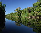 Today we started going down the Sucunduri River.