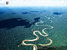  / &copy;: WWF-Canon / André BÄRTSCHI