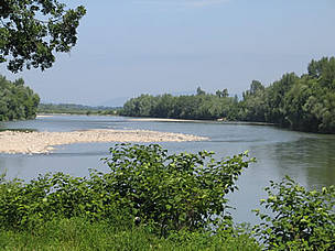 The Tisza River at the Romanian-Hungarian border. / ©: WWF DCP / ©: WWF DCP