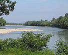 The Tisza River at the Romanian-Hungarian border.