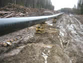 Construction through the forest. / ©: Dmitry Lisitsyn / Sakhalin Environment Watch Construction through the forest. / ©: Dmitry Lisitsyn / Sakhalin Environment Watch