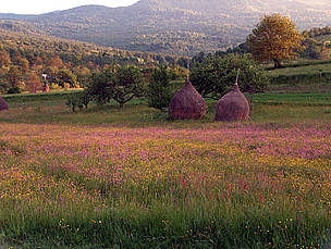 The rich mosaic landscape of Maramures in northern Romania has been created over centuries of human ... / ©: Emil Pop, 2007 / ©: Emil Pop, 2007