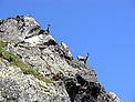  / &copy;: WWF DCP/Andreas Beckmann