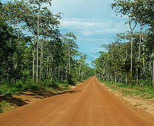 Road through the dry forest ecoregion in Cambodia. / ©: Nick Cox / WWF Greater Mekong Programme / ©: Nick Cox / WWF Greater Mekong Programme
