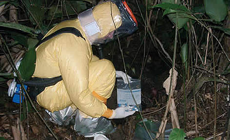 Watertight clothes, equipped with air filtration equipment, used for high-risk wild animal ... / ©: Pierre Rouquet (used with kind permission) DO NOT USE THIS IMAGE. WWF ONLY HAS SINGLE-USE RIGHTS FOR THIS IMAGE. rel=