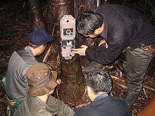 WWF and other organisations are using camera traps to better understand clouded leopards and assess ... / ©: Sameer Singh/WWF AREAS A camera trap is set up / ©: Sameer Singh/WWF AREAS