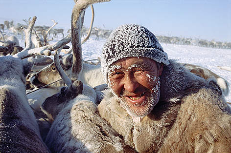 The caribou is central to the cultures, societies and economies of many peoples in northern North ... / ©: WWF / Bryan Alexander/www.arcticphoto.com rel=
