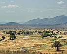 The Great Ruaha River is the lifeline of the Ruaha National Park and surrounding areas. The river has been drying up earlier every year during the dry season as a result of more intensive agriculture and water mismanagement. Ruaha National Park, Tanzania.
