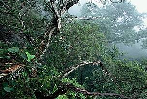  / &copy;: WWF Greater Mekong