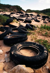  / &copy;: WWF-Canon / John E. NEWBY