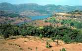 A sacred forest grove saved from destruction to protect the gods living in it, Maharashtra, India. / ©: WWF-Canon / Mauri RAUTKARI / ©: WWF-Canon / Mauri RAUTKARI