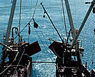 Safe Conduct? Twelve years fishing under the UN code.