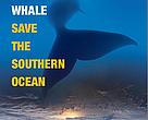 Save the Whale, Save the Southern Ocean