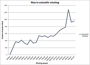The rise in scientific whaling to 2008. / &copy;: WWF