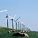 Europe can generate huge new markets at home and abroad by investing in cleaner, renewable and recyclable products.