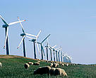 Europe can generate huge new markets at home and abroad by investing in cleaner, renewable and recyclable products.