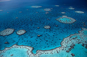 Campaigns by WWF and others led to a dramatic increase in the protection of Australia's Great ... / ©: Jürgen Freund / WWF-Canon / ©: Jürgen Freund / WWF-Canon