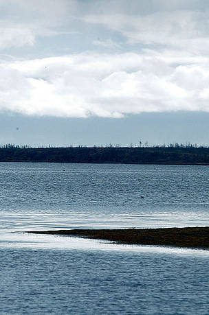 Sea of Okhotsk shore, Sakhalin island, Russian Federation. / ©: Vladimir FILONOV / WWF-Canon Sea of Okhotsk shore, Sakhalin island, Russian Federation. / ©: Vladimir FILONOV / WWF-Canon