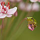 &copy; Wild Wonders of Europe /Dietmar Nill / WWF