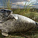 &copy; Wild Wonders of Europe /Laurent Geslin / WWF