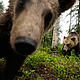 © Wild Wonders of Europe /Staffan Widstrand / WWF