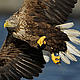 &copy; Wild Wonders of Europe /Staffan Widstrand / WWF