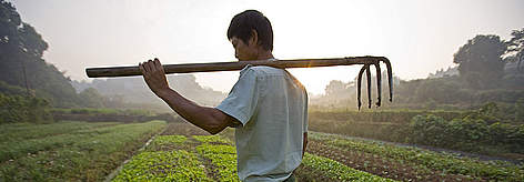 A Chinese farmer carrying his hoe whilst walking to his organic vegetable plot. Xipanshanzhou ... / ©: Brent Stirton / Getty Images / WWF-UK rel=