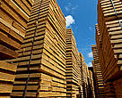  WWF UK and WWF Germany are working with WWF CARPO on a 2 year EU-funded campaign (2010-2011) to raise awareness among EU consumers of the links between their consumption of timber products and the effects on communities and forests in the Congo Basin region.