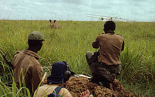 One WWF project involved a rehabilitation and conservation programme for Garamba National Park in ... / ©: Kes & Fraser Smith / WWF-Canon One WWF project involved a rehabilitation and conservation programme for Garamba National Park in ... / ©: Kes & Fraser Smith / WWF-Canon