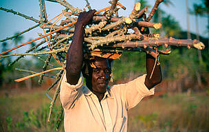 Millions of rural people rely on resources extracted from the woodlands, including fuelwood, ... / ©: Sandra MBANEFO OBIAGO / WWF-Canon / ©: Sandra MBANEFO OBIAGO / WWF-Canon