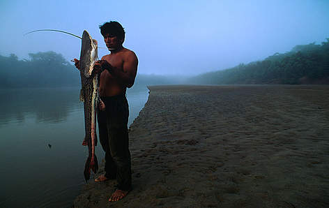 Indígena Piro sostiene Bagre recién atrapado en el Río Manu, Perú.
/ ©: © AndrÈ BƒRTSCHI / WWF-Canon / ©: © AndrÈ BƒRTSCHI / WWF-Canon