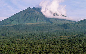 Sabinyo volcano and thick forest, Virunga National Park, Democratic Republic of the Congo. / ©: Martin Harvey / WWF-Canon Sabinyo volcano and thick forest, habitat of the endangered mountain gorilla Virunga National Park, ... / ©: Martin Harvey / WWF-Canon