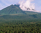 Sabinyo volcano and thick forest, habitat of the endangered mountain gorilla Virunga National Park, Democratic Republic of Congo.