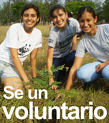 voluntario / &copy;: WWF Paraguay