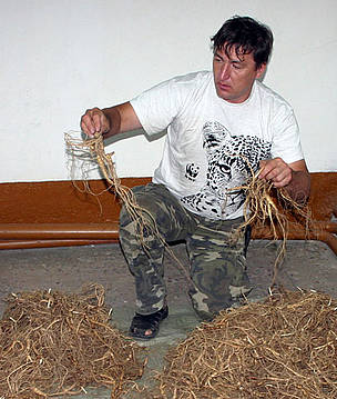 Seized ginseng at border between Russia and China. / ©: Pavel Fomenko / WWF-Russia Seized ginseng at border between Russia and China. / ©: Pavel Fomenko / WWF-Russia